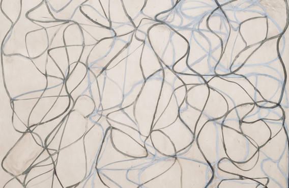 アート・デザイン・音楽 PLANE IMAGE A BRICE MARDEN RETROSPECTIVE Plane Image A Brice Marden Retrospective ARTBOOK | D.A.P.